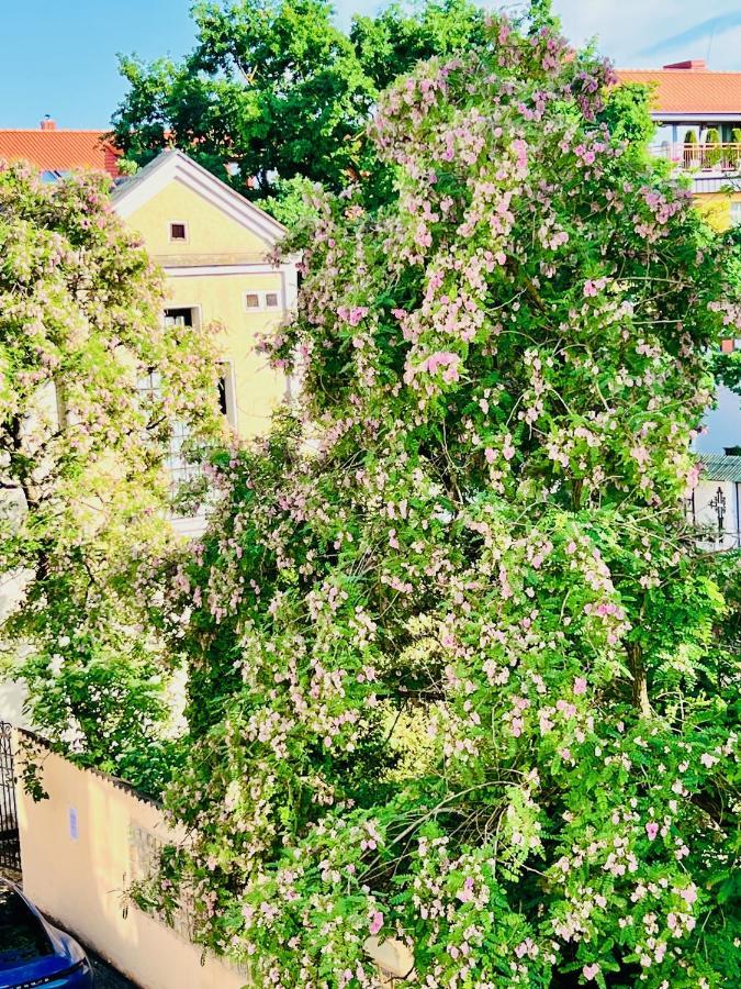 Super Apartment Old Town Klaipėda Esterno foto